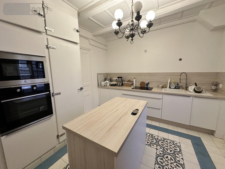 Maison a vendre Ruynes-en-Margeride 15320 Cantal 229 m2  340000 euros