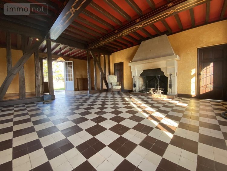 Maison a vendre Pressigny-les-Pins 45290 Loiret 480 m2  850000 euros