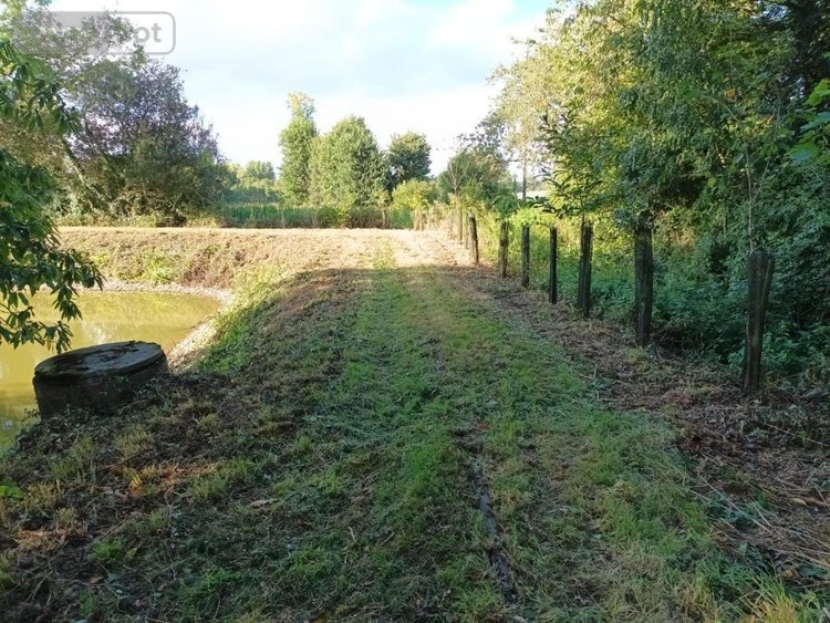 Terrains de loisirs bois etangs a vendre Plumaudan 22350 Côtes-d'Armor 5908 m2  39700 euros
