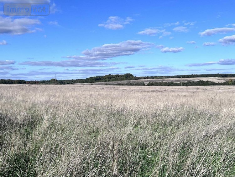 Maison a vendre Veuzain-sur-Loire 41150 Loir-et-Cher 280 m2 8 pièces 315000 euros