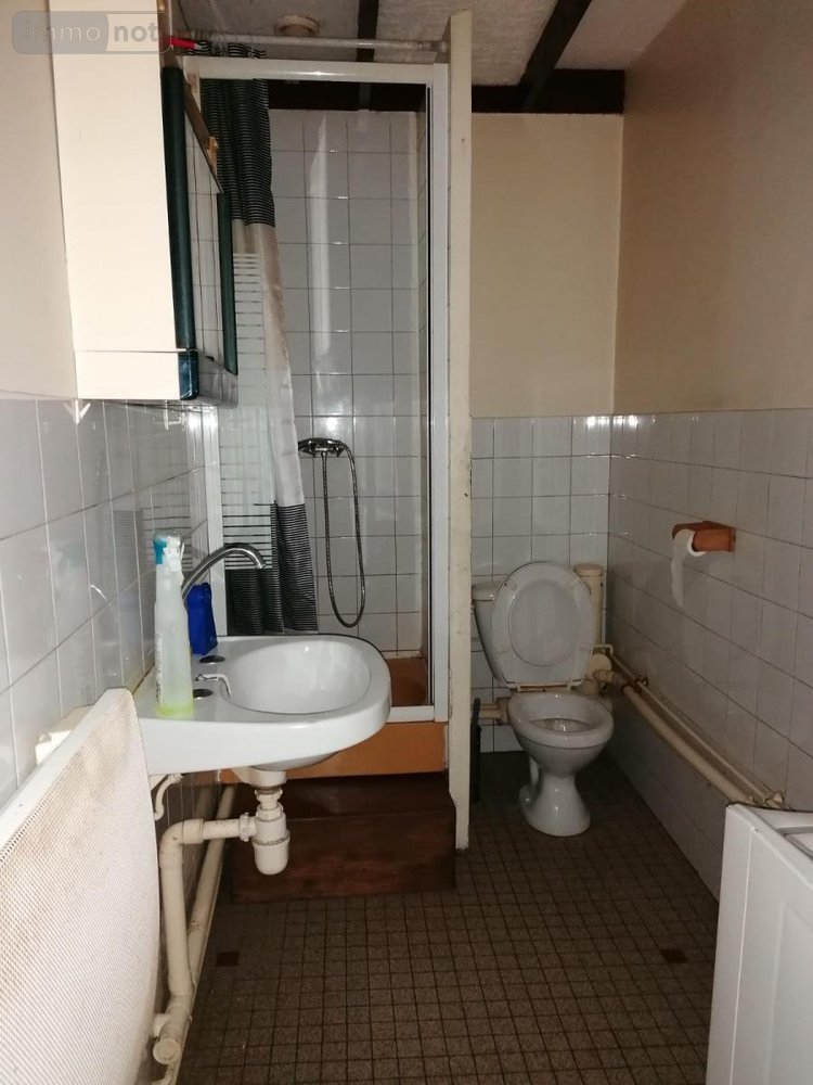 Immeuble a vendre Descartes 37160 Indre-et-Loire 183 m2  84000 euros