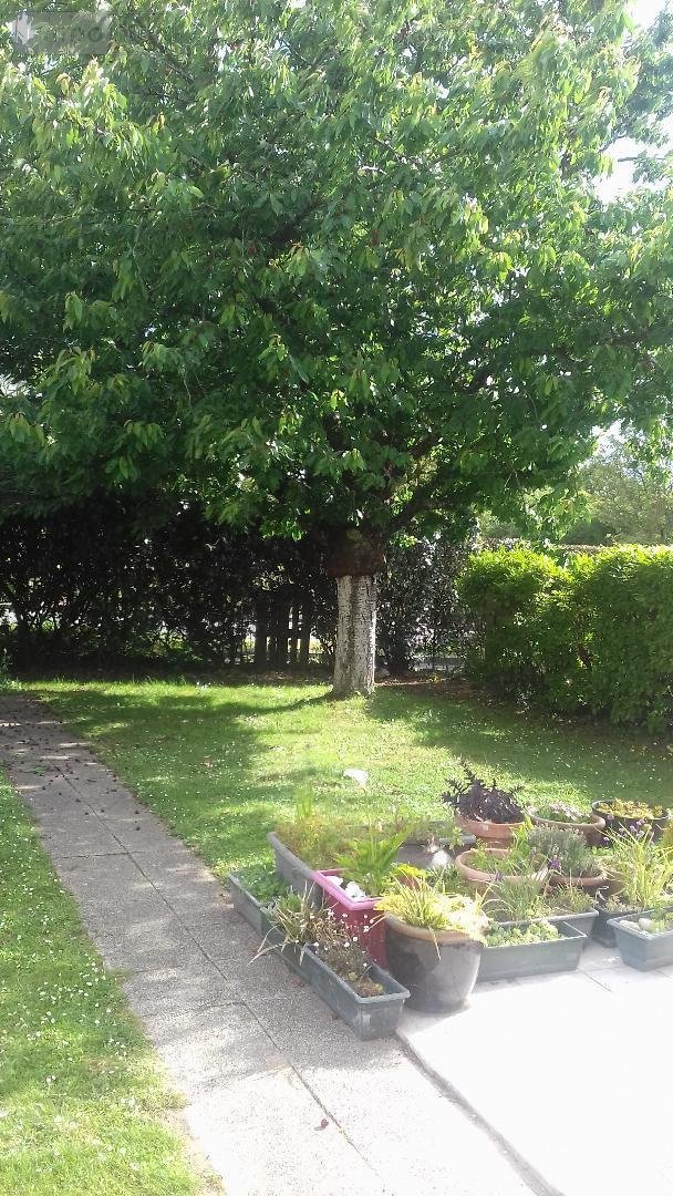 Location maison Orvault 44700 Loire-Atlantique 78 m2 4 pièces 1113 euros