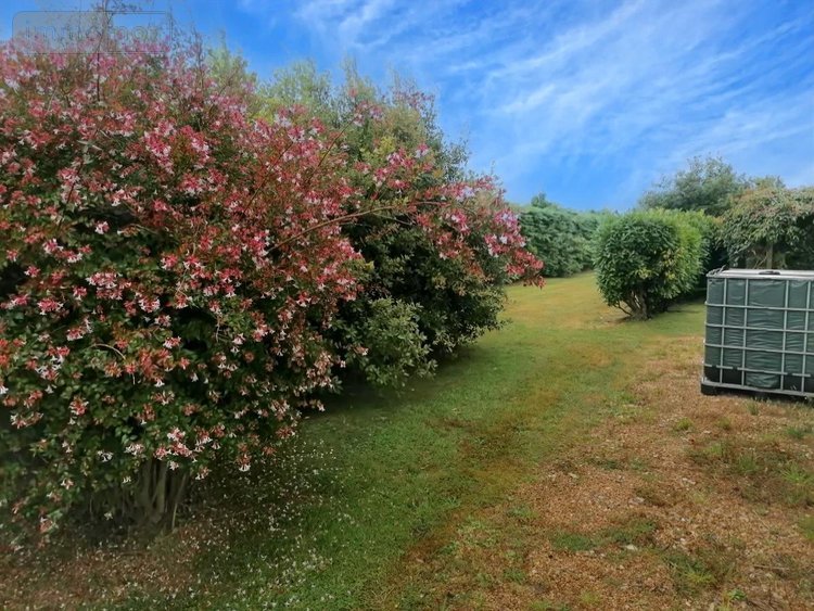 Maison a vendre Taulé 29670 Finistère 162 m2 6 pièces 281340 euros