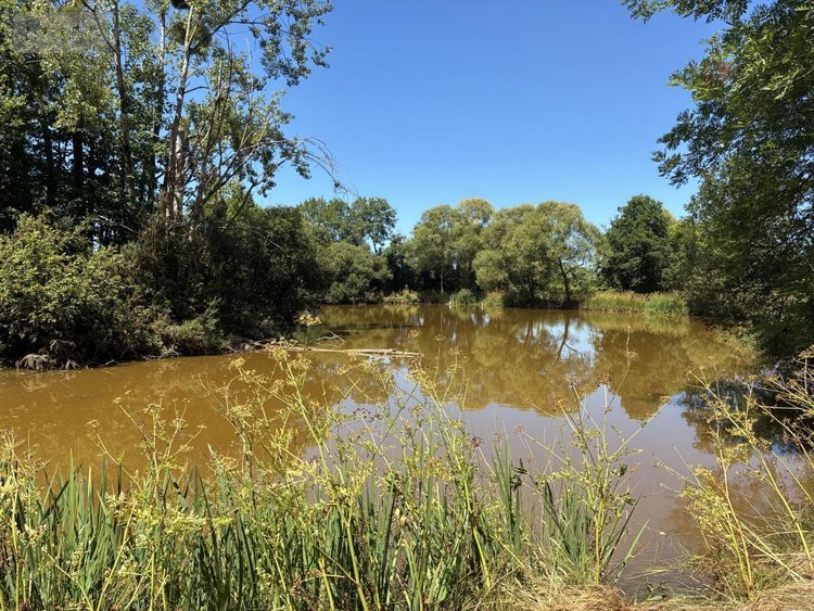 Terrains de loisirs bois etangs a vendre La Bazouge-des-Alleux 53470 Mayenne 45728 m2  120500 euros