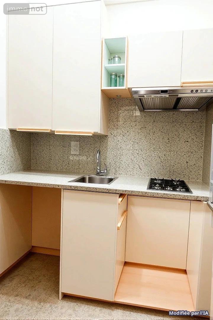 Appartement a vendre Chamalières 63400 Puy-de-Dôme 30 m2 2 pièces 80000 euros