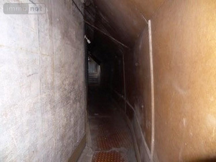 Immeuble a vendre Falaise 14700 Calvados 320 m2  137450 euros