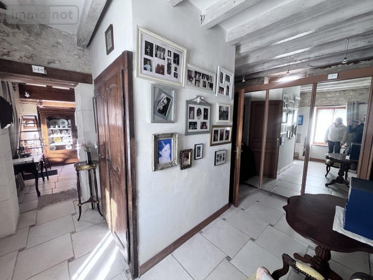 Maison a vendre Châtillon-sur-Cher 41130 Loir-et-Cher 385 m2 14 pièces 420000 euros