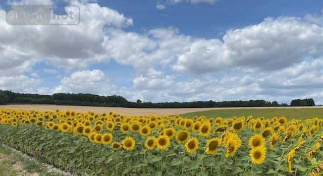 Maison a vendre Chezelles 37220 Indre-et-Loire 141 m2 5 pièces 169600 euros