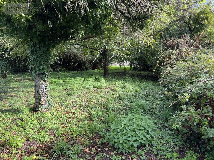 Maison a vendre Neuville-sur-Ain 01160 Ain 160 m2 8 pièces 140000 euros