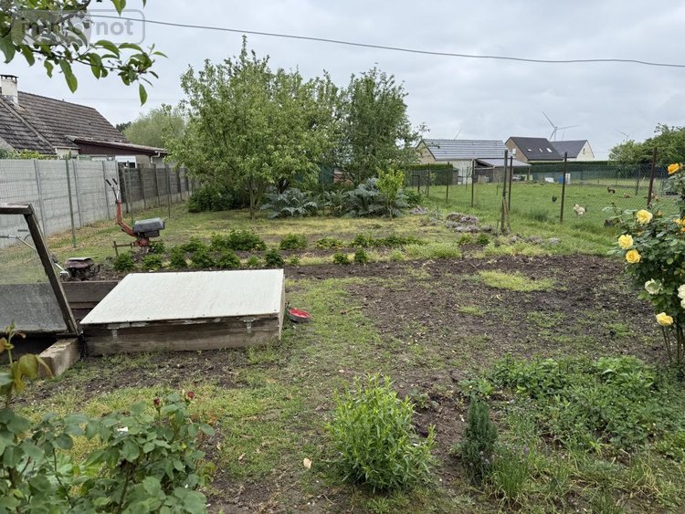 Viager maison Bévillers 59217 Nord 80 m2 4 pièces 35000 euros