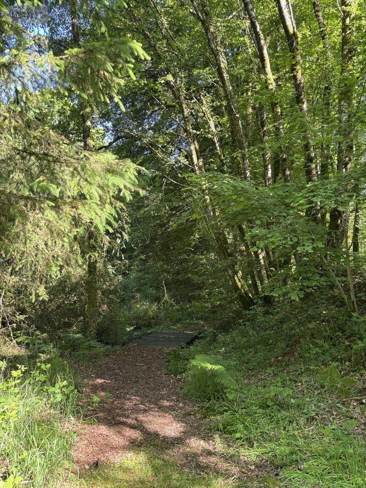 Terrains de loisirs bois etangs a vendre Noues de Sienne 14380 Calvados 185705 m2  399000 euros