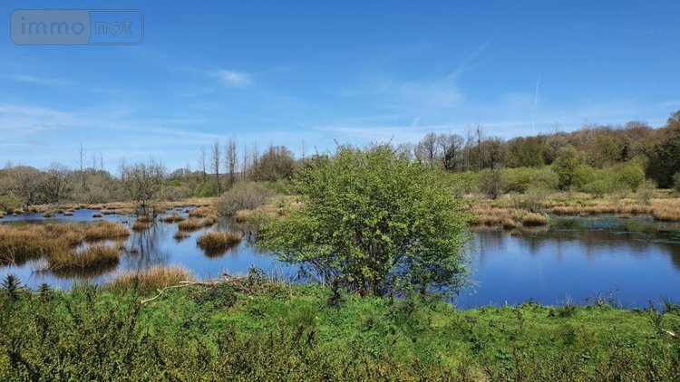 Maison a vendre Langonnet 56630 Morbihan 113 m2 5 pièces 179100 euros