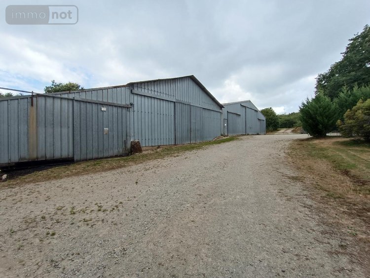 Divers a vendre Malguénac 56300 Morbihan 870 m2  136120 euros