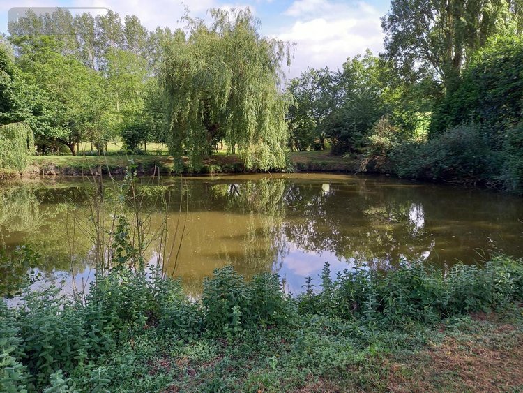 Terrains de loisirs bois etangs a vendre Parçay-sur-Vienne 37220 Indre-et-Loire 7760 m2  23600 euros