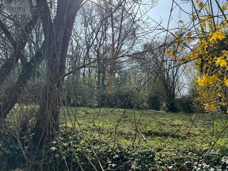 Maison a vendre Saint-Arnoult 41800 Loir-et-Cher 52 m2 2 pièces 46400 euros