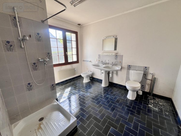 Maison a vendre Thésée 41140 Loir-et-Cher 81 m2 3 pièces 86000 euros