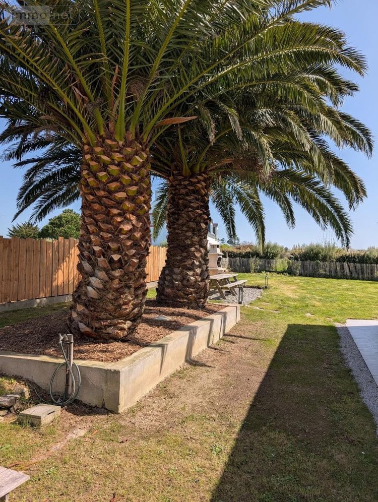 Maison a vendre Bangor 56360 Morbihan 107 m2 7 pièces 1185030 euros