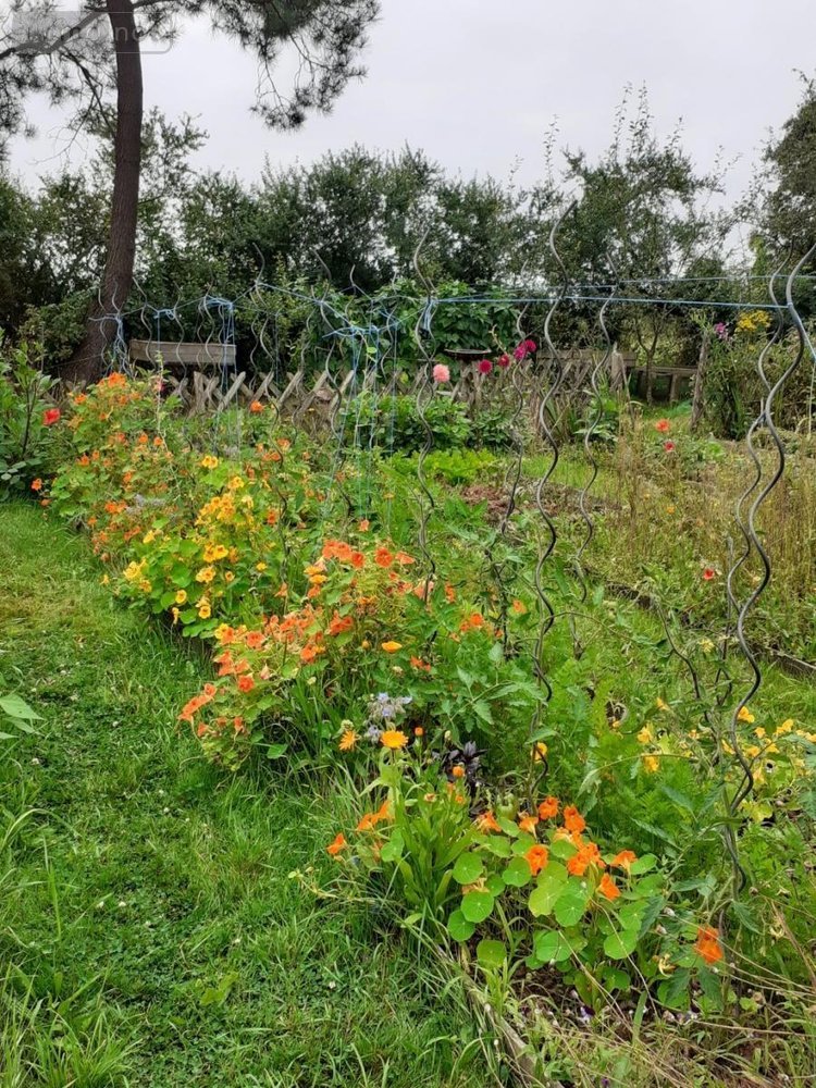 Maison a vendre Herbignac 44410 Loire-Atlantique 148 m2 5 pièces 365750 euros