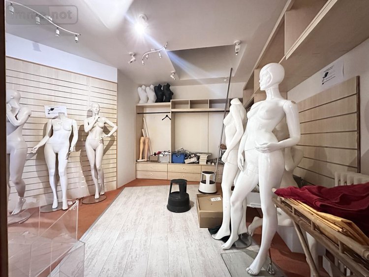 Maison a vendre Sainte-Maure-de-Touraine 37800 Indre-et-Loire 180 m2 8 pièces 235500 euros