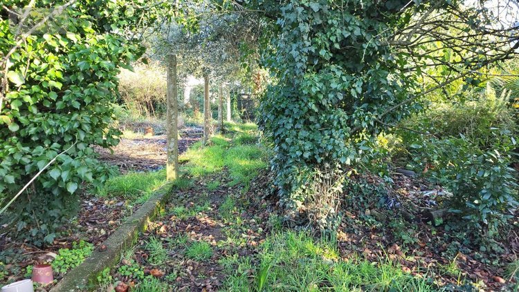 Maison a vendre Locmiquélic 56570 Morbihan 167 m2  364000 euros