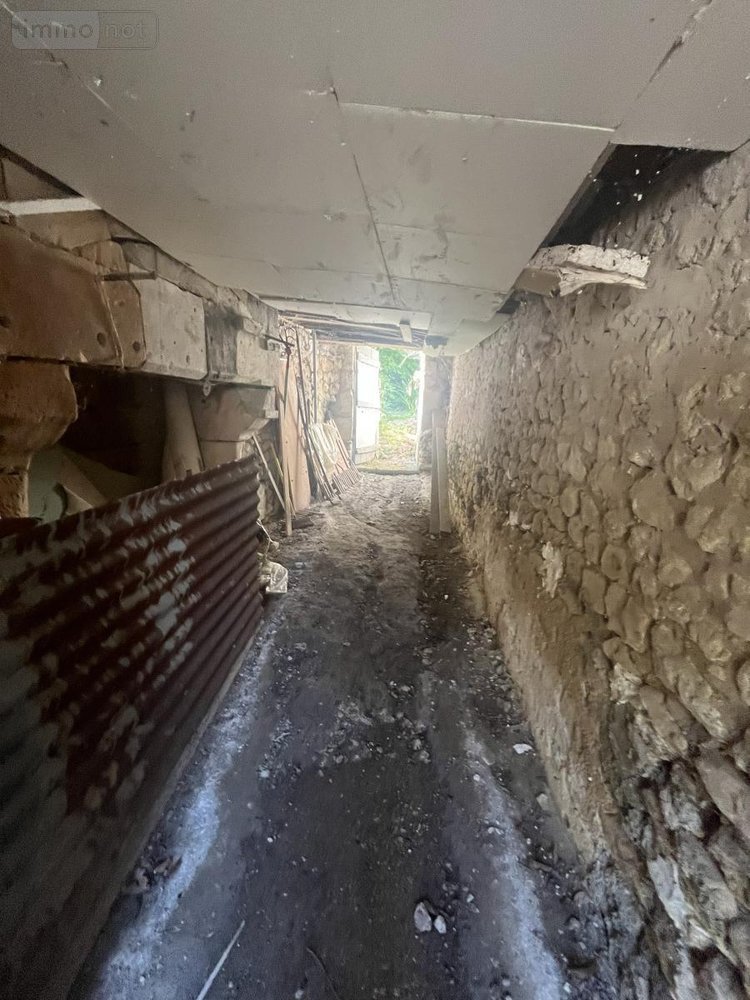 Maison a vendre Rilly-sur-Vienne 37220 Indre-et-Loire 52 m2 3 pièces 43600 euros