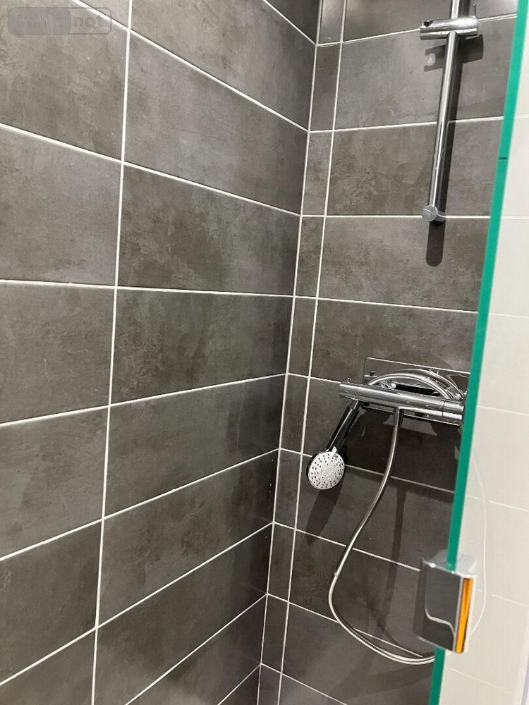 Location appartement Rennes 35000 Ille-et-Vilaine 90 m2 4 pièces 1219 euros