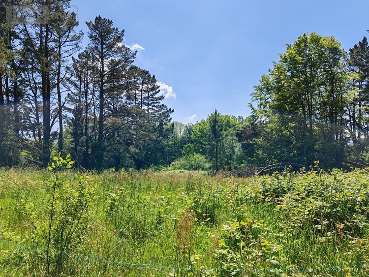 Immeuble a vendre Plounéour-Ménez 29410 Finistère 637 m2  255000 euros