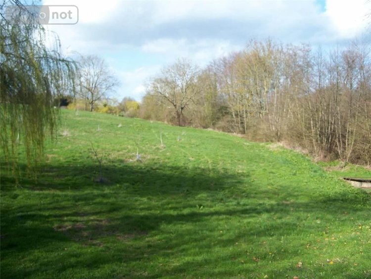 Terrains de loisirs bois etangs a vendre Nuillé-sur-Vicoin 53970 Mayenne 89100 m2  239660 euros