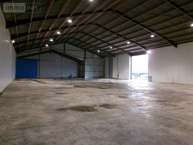 Location divers Cuinchy 62149 Pas-de-Calais 1000 m2  2500 euros