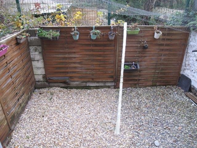 Location maison Darnétal 76160 Seine-Maritime 55 m2 3 pièces 680 euros