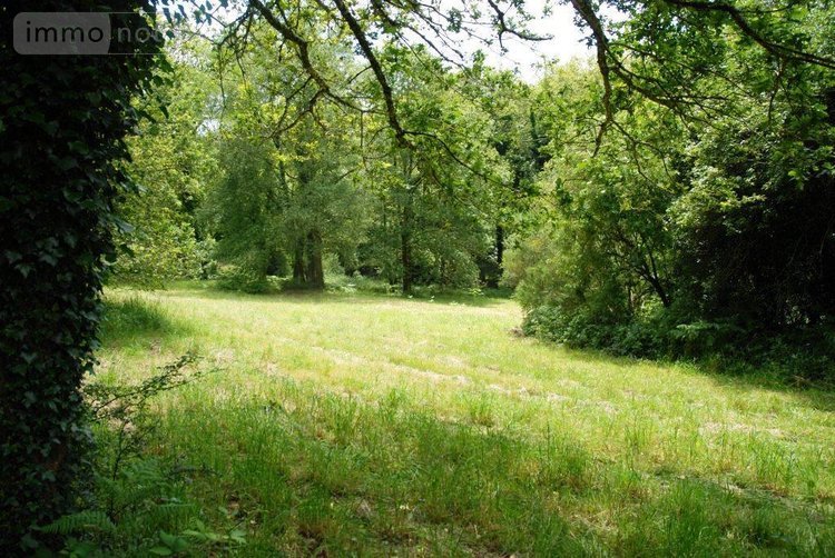 Maison a vendre Plouray 56770 Morbihan 700 m2 19 pièces 800680 euros