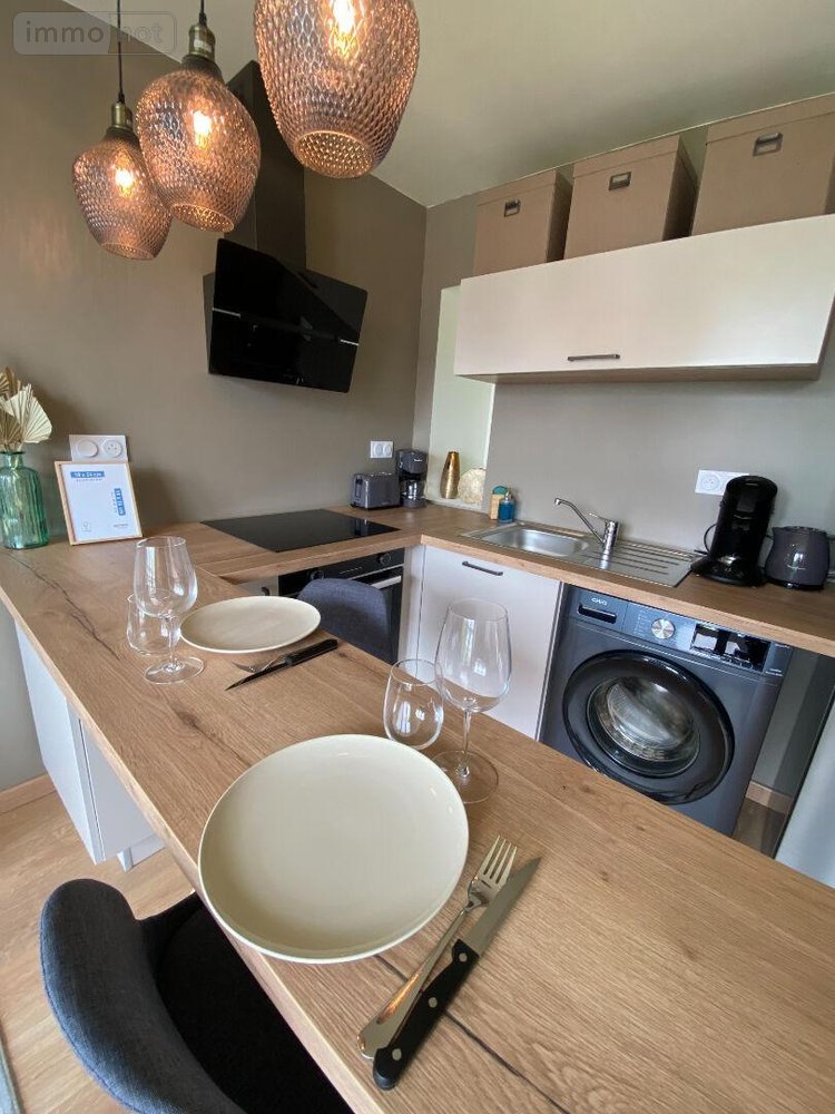 Location appartement Rennes 35000 Ille-et-Vilaine 31 m2 2 pièces 842 euros