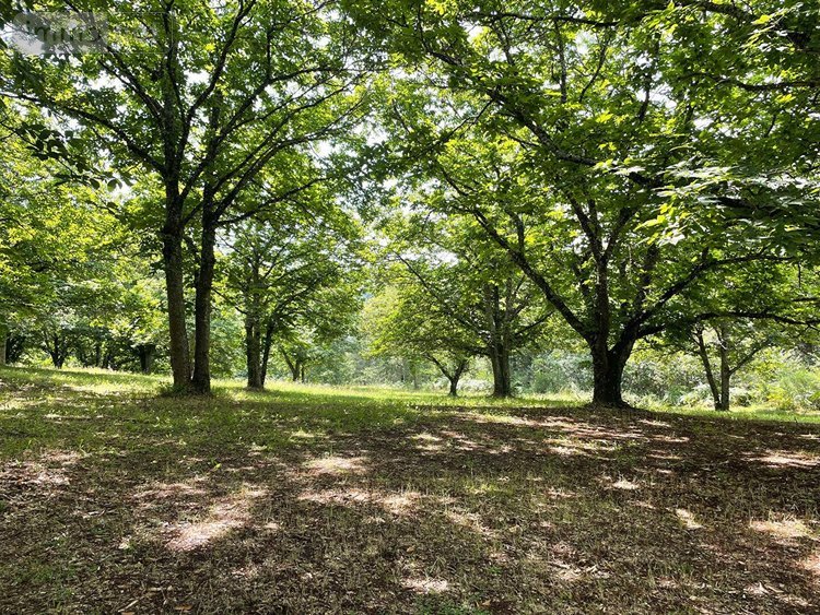 Maison a vendre Saint-Perdoux 46100 Lot 112 m2 4 pièces 296500 euros