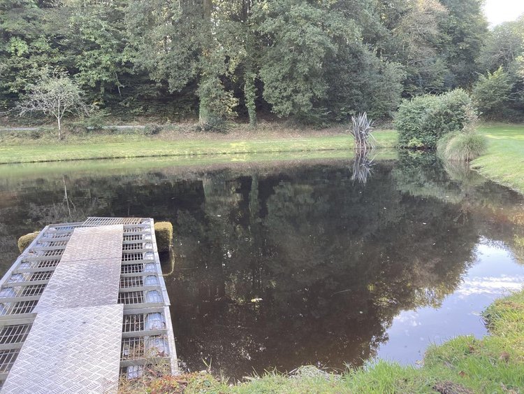 Terrains de loisirs bois etangs a vendre Melrand 56310 Morbihan 8380 m2  32400 euros