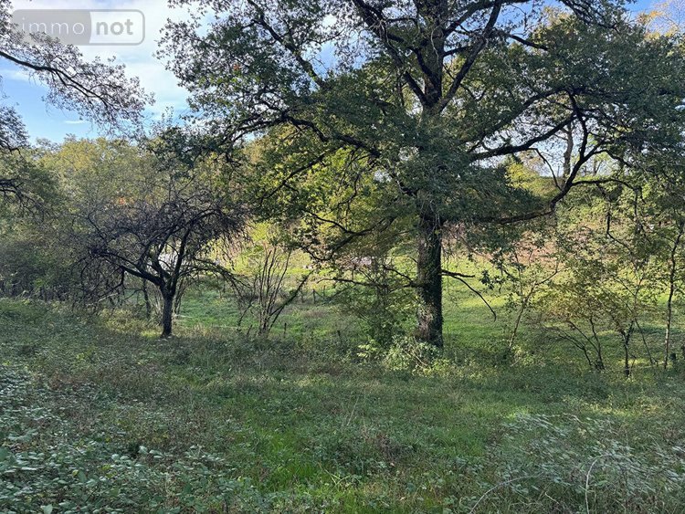 Maison a vendre Figeac 46100 Lot 49 m2 2 pièces 95400 euros