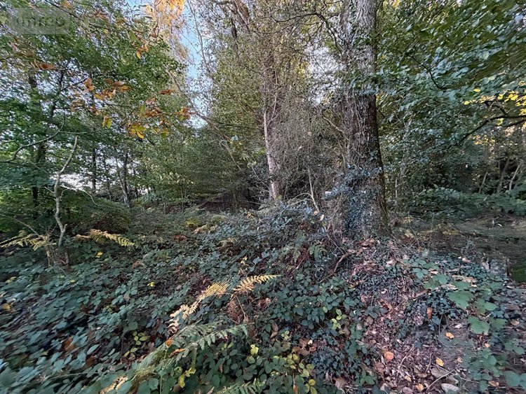 Terrain a batir a vendre Guilliers 56490 Morbihan 3532 m2  6400 euros