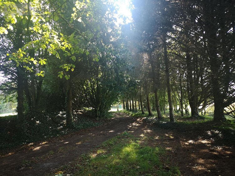 Maison a vendre Pleine-Fougères 35610 Ille-et-Vilaine 200 m2 6 pièces 935160 euros