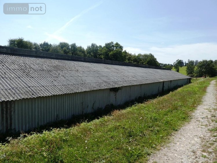 Divers a vendre Le Saint 56110 Morbihan 1 m2  335600 euros