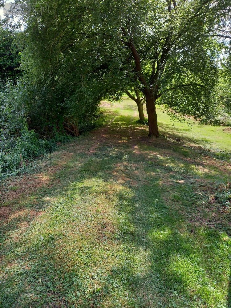 Terrains de loisirs bois etangs a vendre Parçay-sur-Vienne 37220 Indre-et-Loire 7760 m2  23600 euros