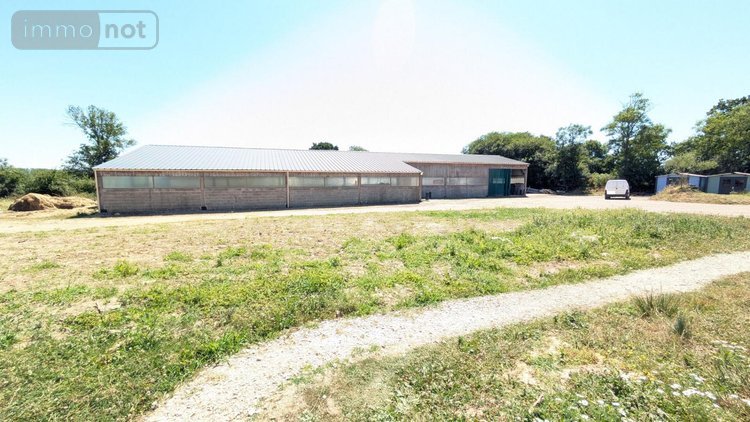 Divers a vendre Rauville-la-Place 50390 Manche 79 m2  243850 euros