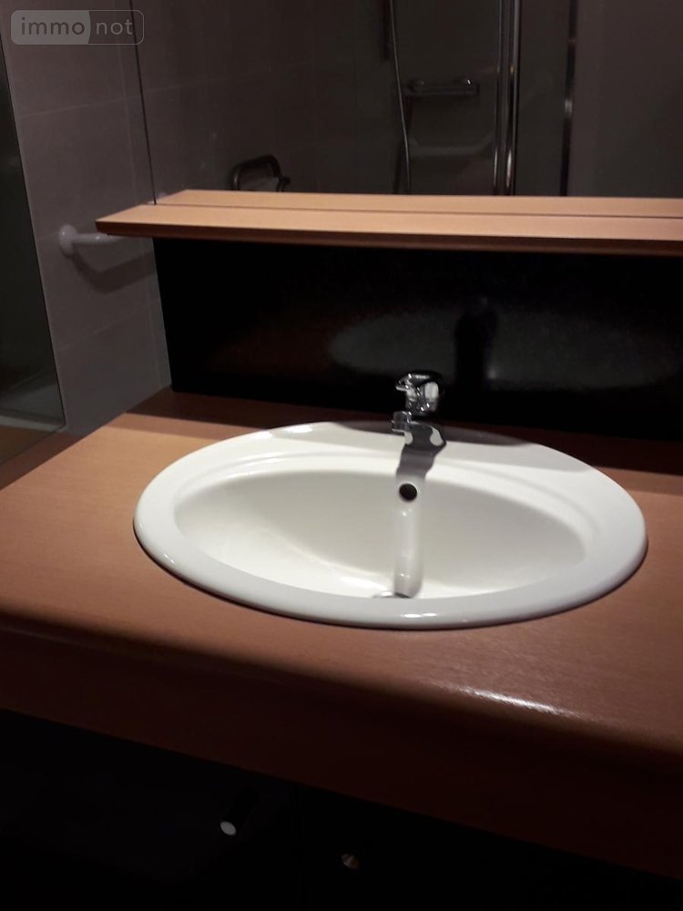 Location appartement Laval 53000 Mayenne 98 m2 4 pièces 1000 euros