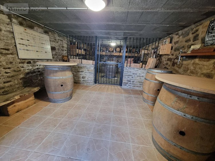Maison a vendre Isigny-le-Buat 50540 Manche 288 m2 8 pièces 497900 euros