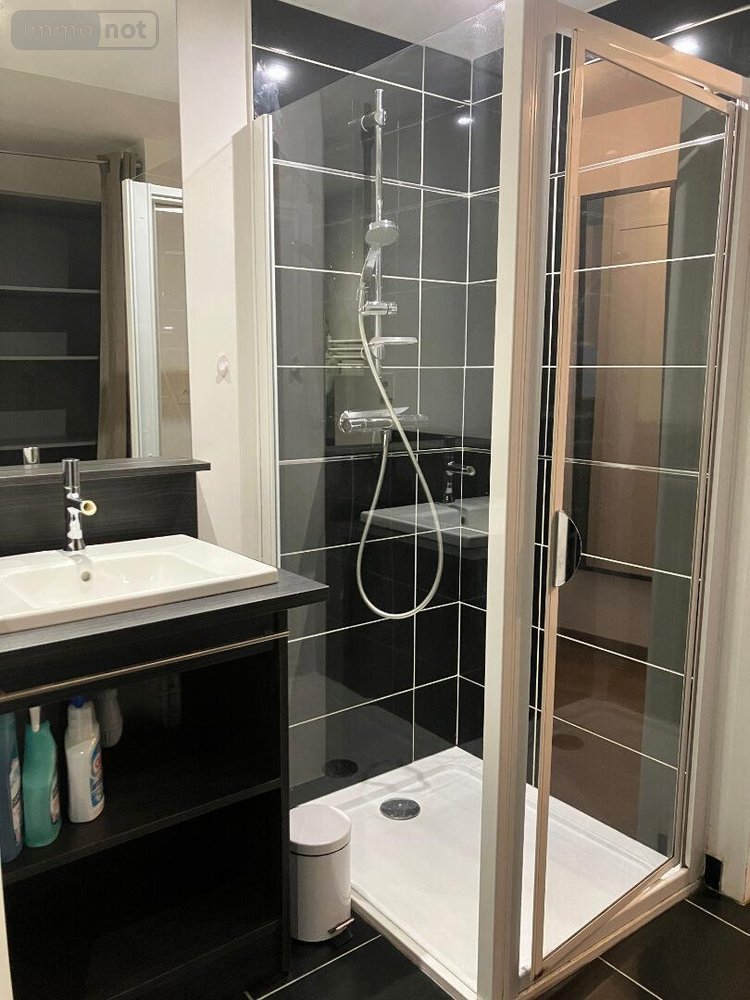 Location appartement Rennes 35000 Ille-et-Vilaine 22 m2 1 pièce 535 euros