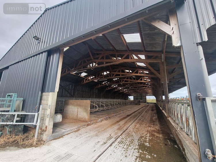 Divers a vendre Ducey-les-Chéris 50220 Manche 1500 m2  225550 euros