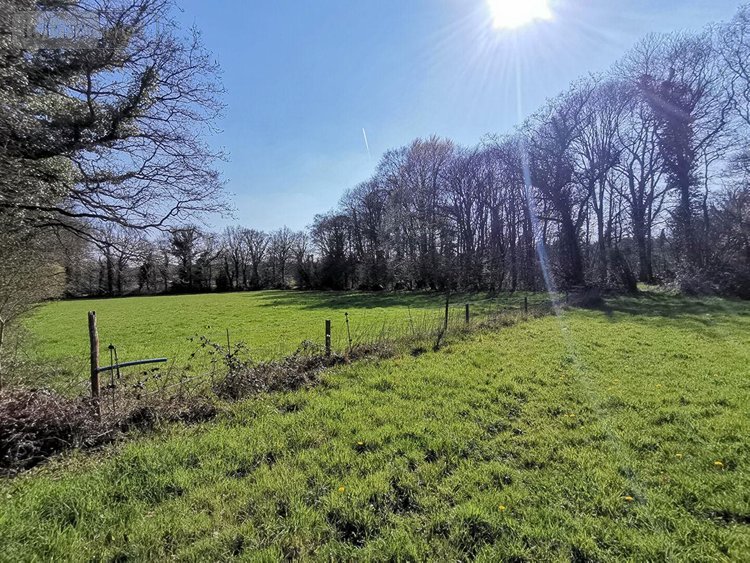 Maison a vendre Iffendic 35750 Ille-et-Vilaine 122 m2 6 pièces 333264 euros