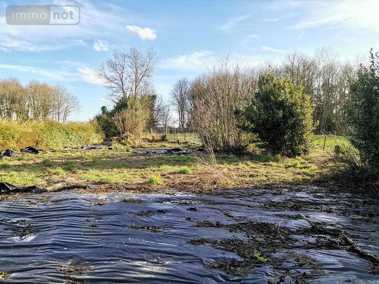 Maison a vendre Quédillac 35290 Ille-et-Vilaine 68 m2 4 pièces 59000 euros