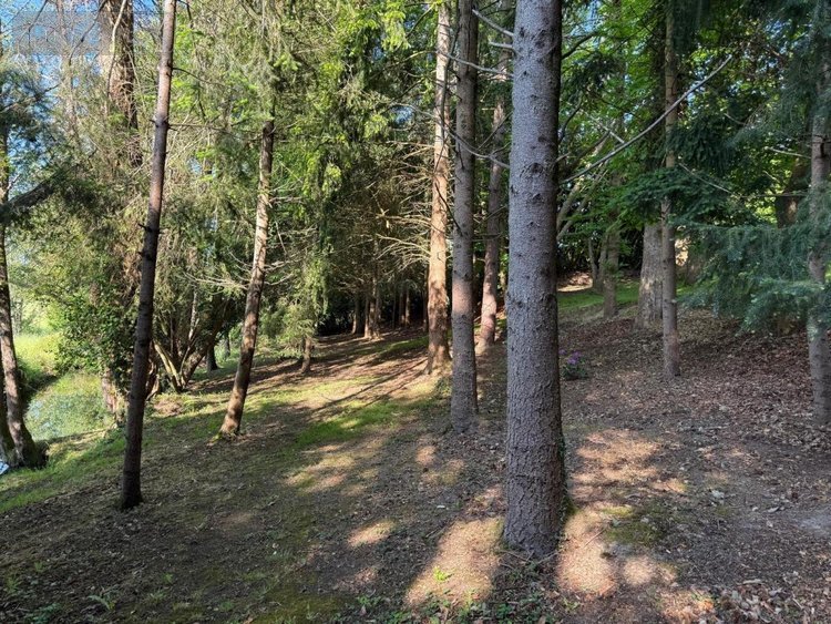 Maison a vendre Percy-en-Normandie 50410 Manche 180 m2 7 pièces 399939 euros