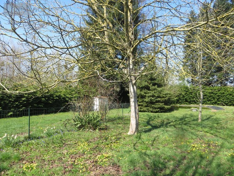 Maison a vendre Mesnil-Clinchamps 14380 Calvados 200 m2 7 pièces 242650 euros