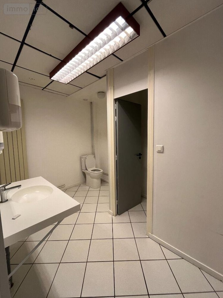 Location divers Montfort-sur-Meu 35160 Ille-et-Vilaine 160 m2  1000 euros