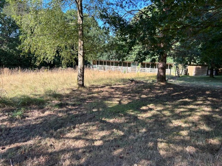 Maison a vendre Ploumagoar 22970 Côtes-d'Armor 159 m2 5 pièces 386080 euros